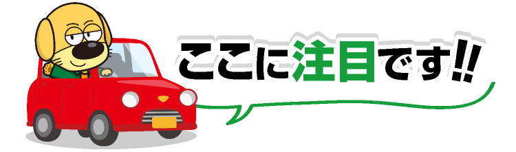 ここに注目だぞう！！