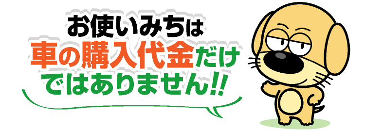 お使いみちは車の購入代金だけではないぞう！！